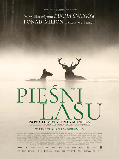 Pieśni lasu - okładka