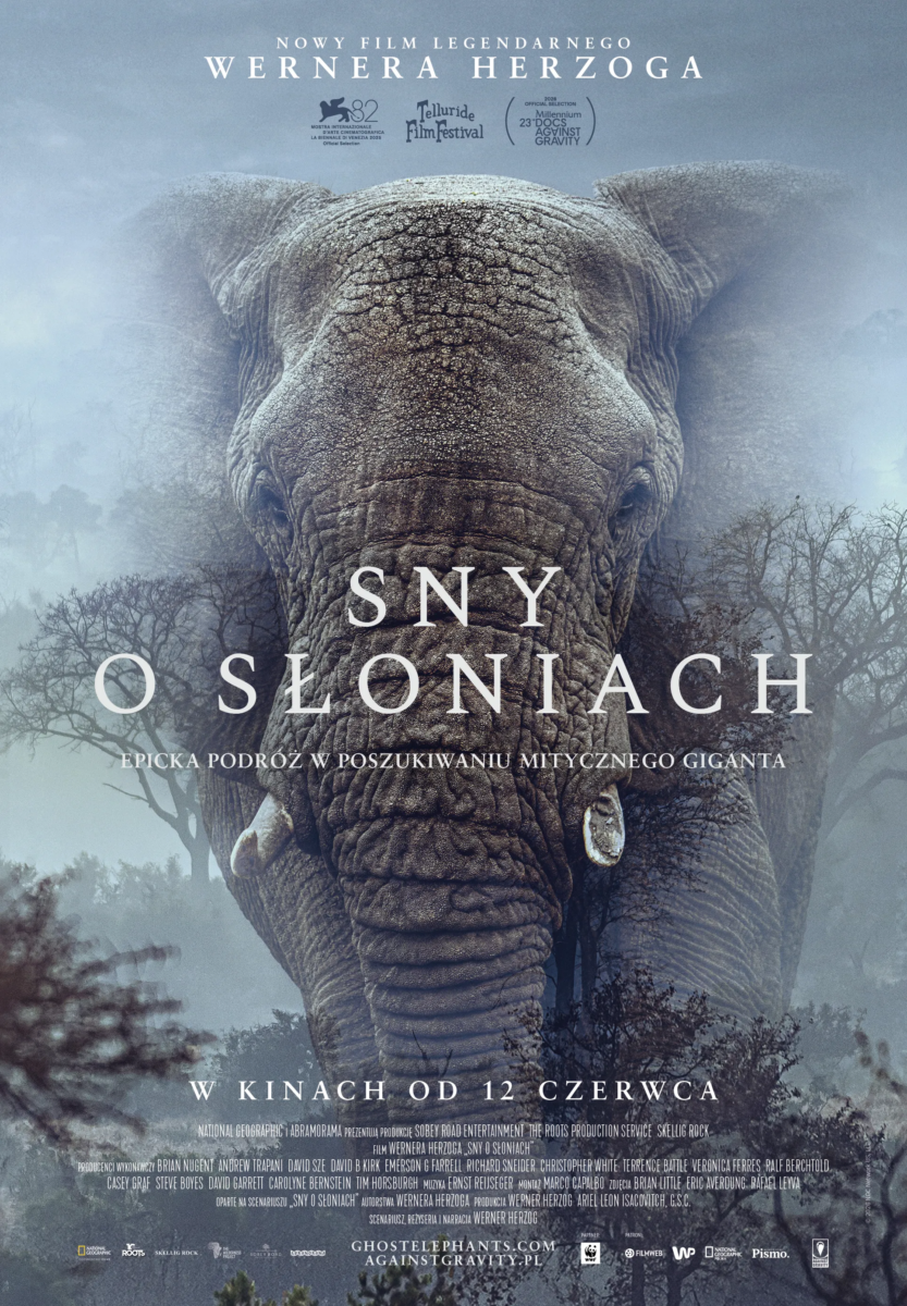 Sny o słoniach - okładka