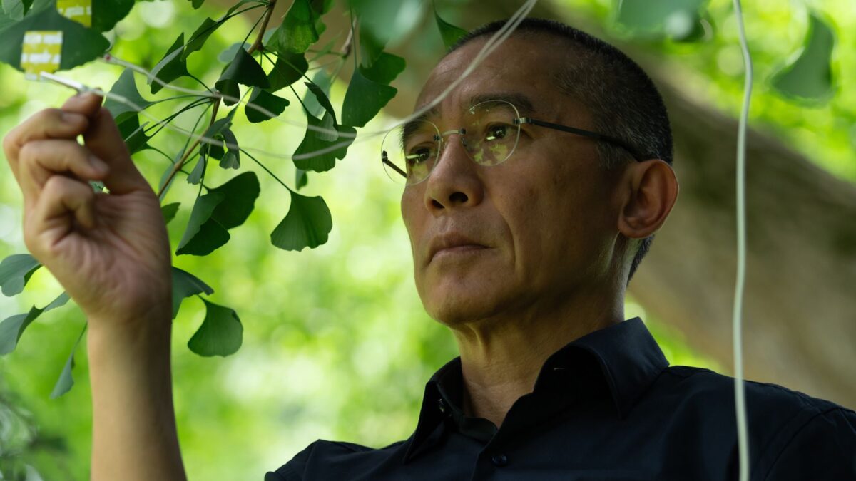 Milcząca przyjaciółka - kadr 2