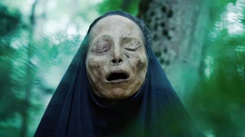 Wiedźmia matka - okładka