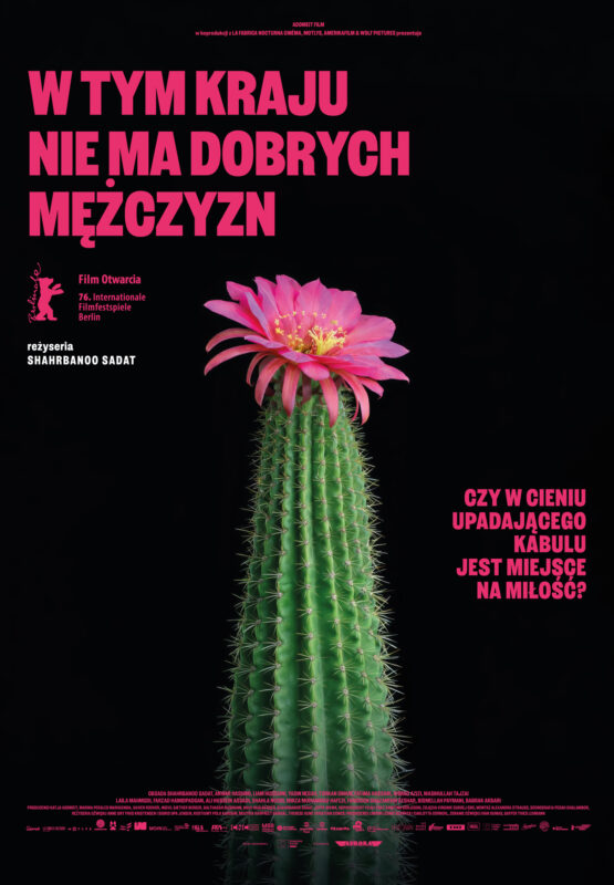 W tym kraju nie ma dobrych mężczyzn - okładka