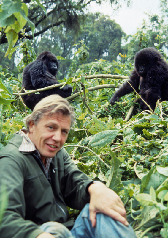 DAVID ATTENBOROUGH: POCZĄTEK WIELKIEJ PRZYGODY - okładka