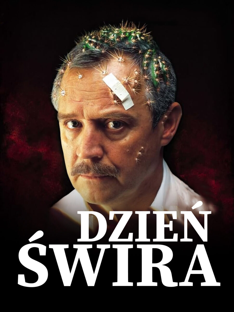 Dzień Świra - okładka
