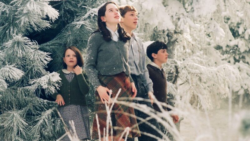 Sekcja - Never grow up - okładka